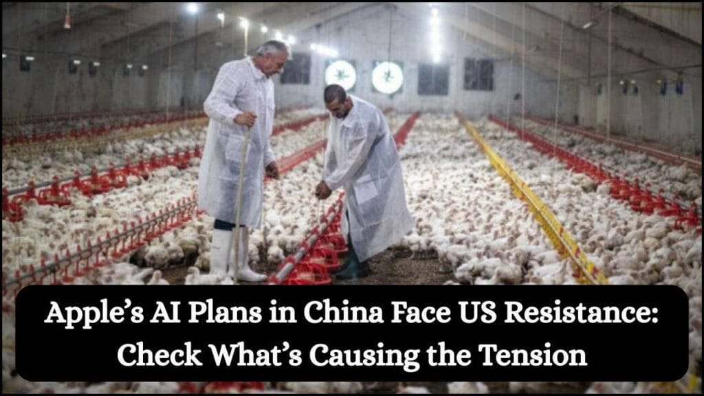 Bird Flu Outbreak Halts Brazil Poultry Exports: Check Why 3 Countries Acted Fast 1 Bird Flu Outbreak Halts Brazil Poultry Exports