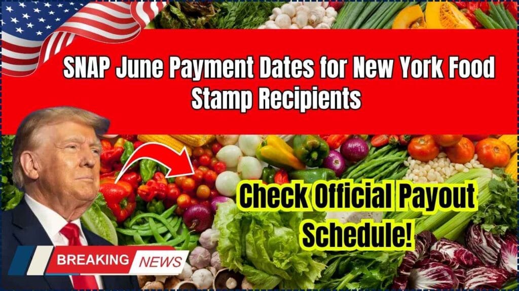 SNAP June Payment Dates for New York Food Stamp Recipients — Check Official Payout Schedule! 1 SNAP June Payment Dates for New York Food Stamp Recipients